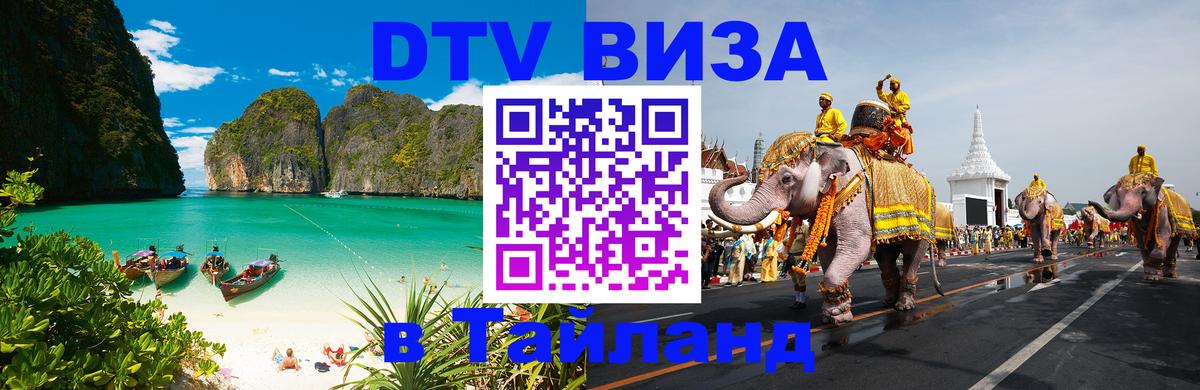 Сколько стоит DTV виза — актуальные цены, оформление даже без документов - Сан-Сальвадор 